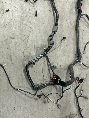 2003 Ford Mustang SVT Cobra Convertible Body Harness 273