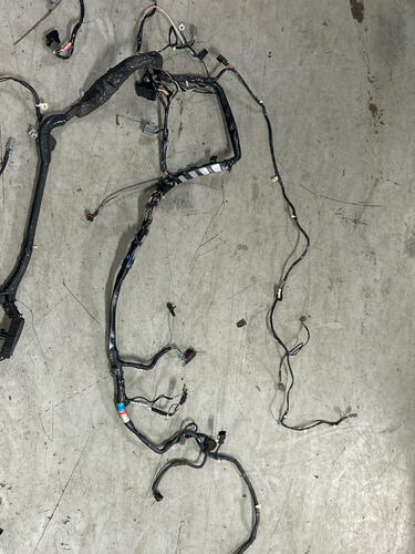 2003 Ford Mustang SVT Cobra Convertible Body Harness 273