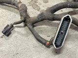 2001+ Ford Mustang GT/Bullitt ECU/PCM Harness- FOR 2V MANUAL (TR3650) 271