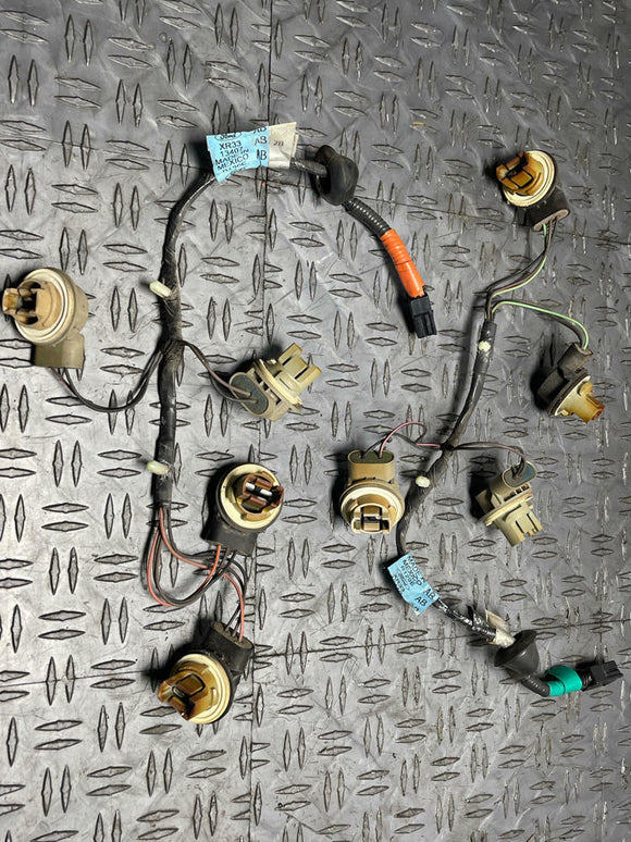 1999-04 Ford Mustang Rear Tail Light Harness Pair (NON AMBER) 282