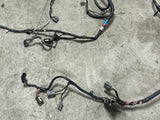2003-04 Ford Mustang SVT Cobra Convertible Body Harness 283