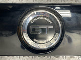 2013-14 Ford Mustang GT/CS Decklid Filler Panel- Sunfaded & Swirled 281