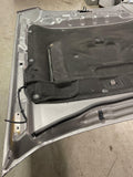 2013-14 Ford Mustang GT/CS Hood- Code UJ, SEE DESCRIPTION 281
