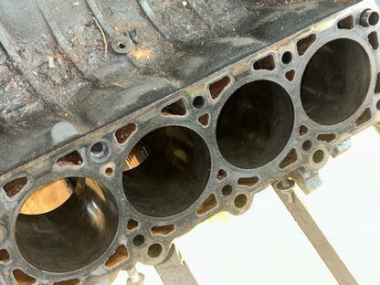 1999-04 Ford Mustang GT 4.6 2V Windsor Iron Block- Standard Bore, TMU