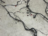 2003-04 Ford Mustang SVT Cobra OEM Body/Chassis Harness- for COUPE 255