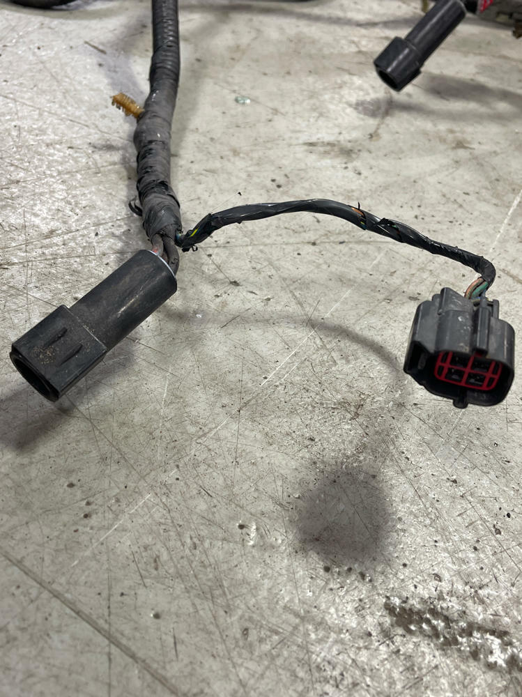 2003-04 Ford Mustang SVT Cobra ECU/PCM Harness 286