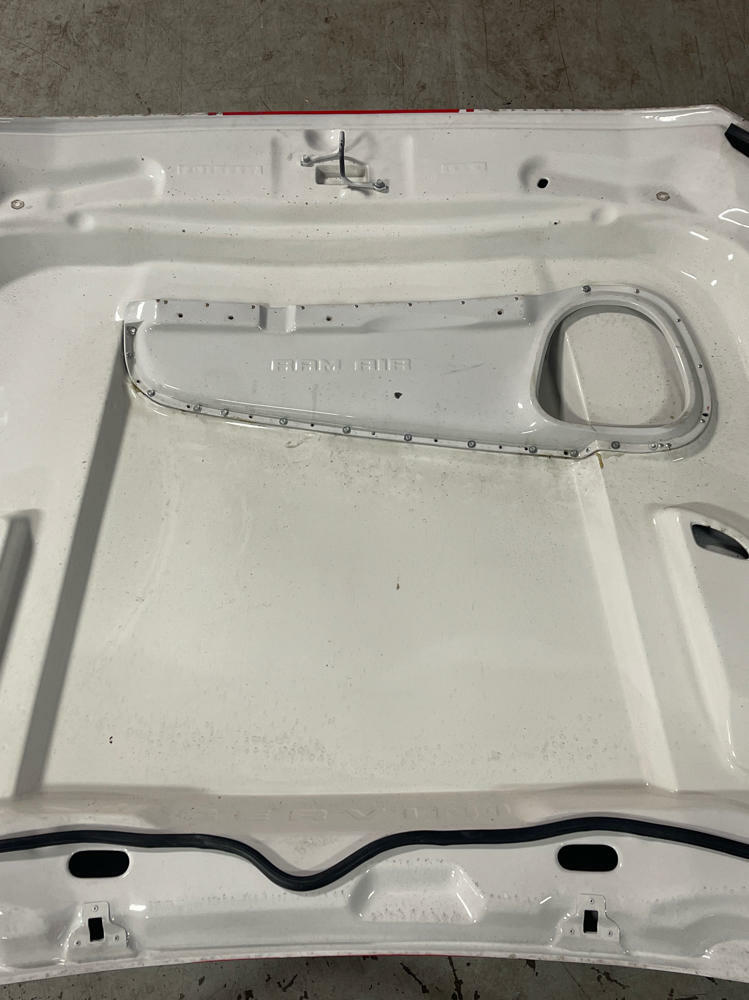 2018-23 Ford Mustang Cervini Ram Air Hood (Functional)- Paint Code YZ 279