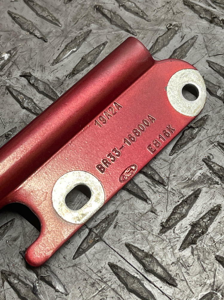 2011-14 Ford Mustang Hood Hinges (Ruby Red Metallic) 290