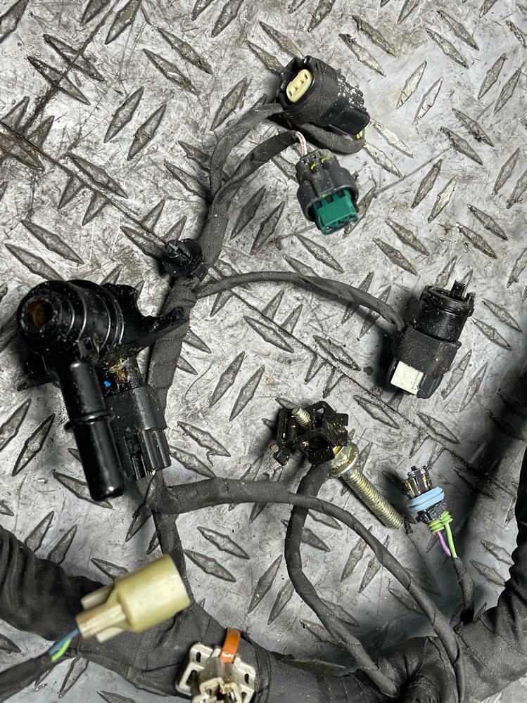 2018-23 Ford Mustang Mach One Fuel Injector Harness- DAMAGED 291