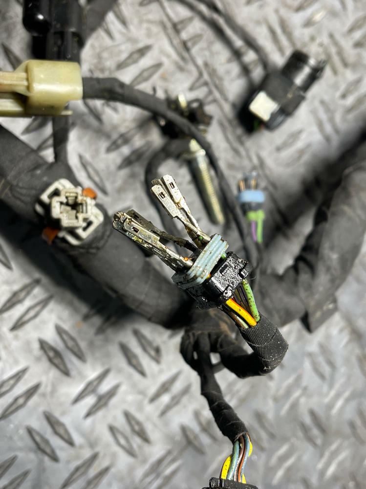 2018-23 Ford Mustang Mach One Fuel Injector Harness- DAMAGED 291