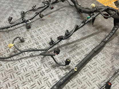2003-04 Ford Mustang SVT Cobra OEM EFI Harness 292