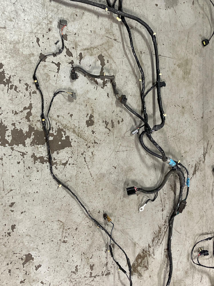2001-04 Ford Mustang Roush GT Coupe Body Harness- For Manual Trans Cars 293