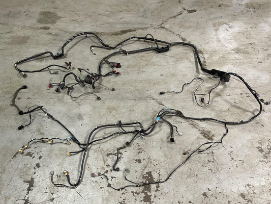 2001-04 Ford Mustang Roush GT Coupe Body Harness- For Manual Trans Cars 293