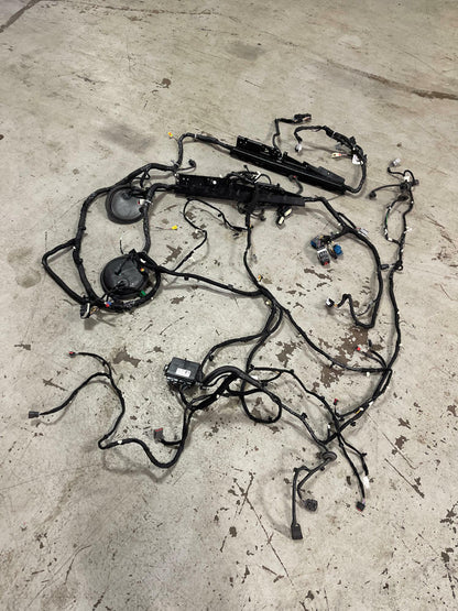 2015-17 Ford Mustang GT Body Harness- for Premium Auto Trans Cars 297