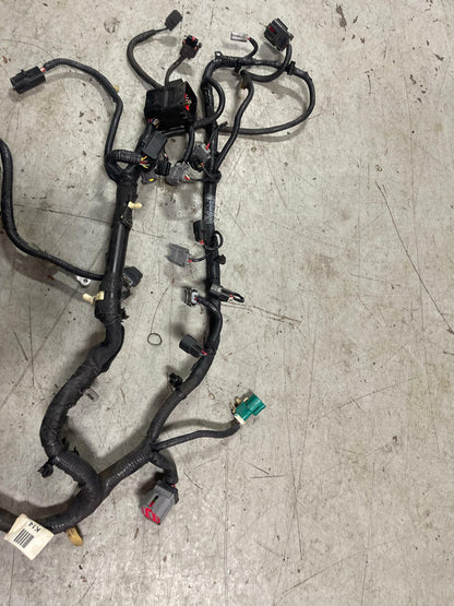 2001 Ford Mustang Bullitt EFI Harness 300