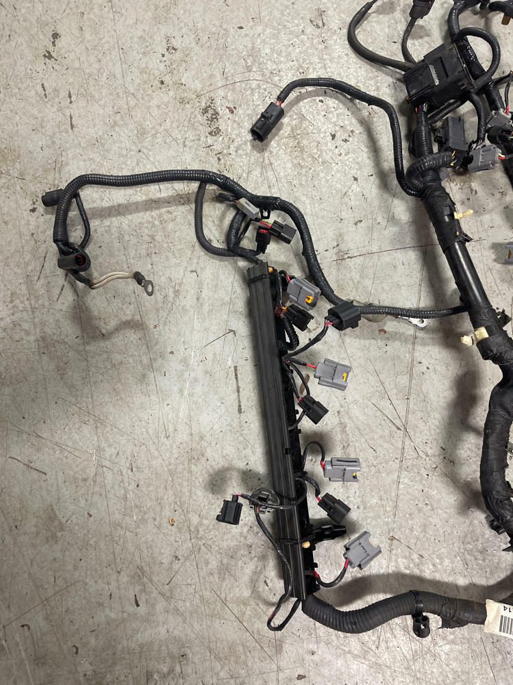 2001 Ford Mustang Bullitt EFI Harness 300