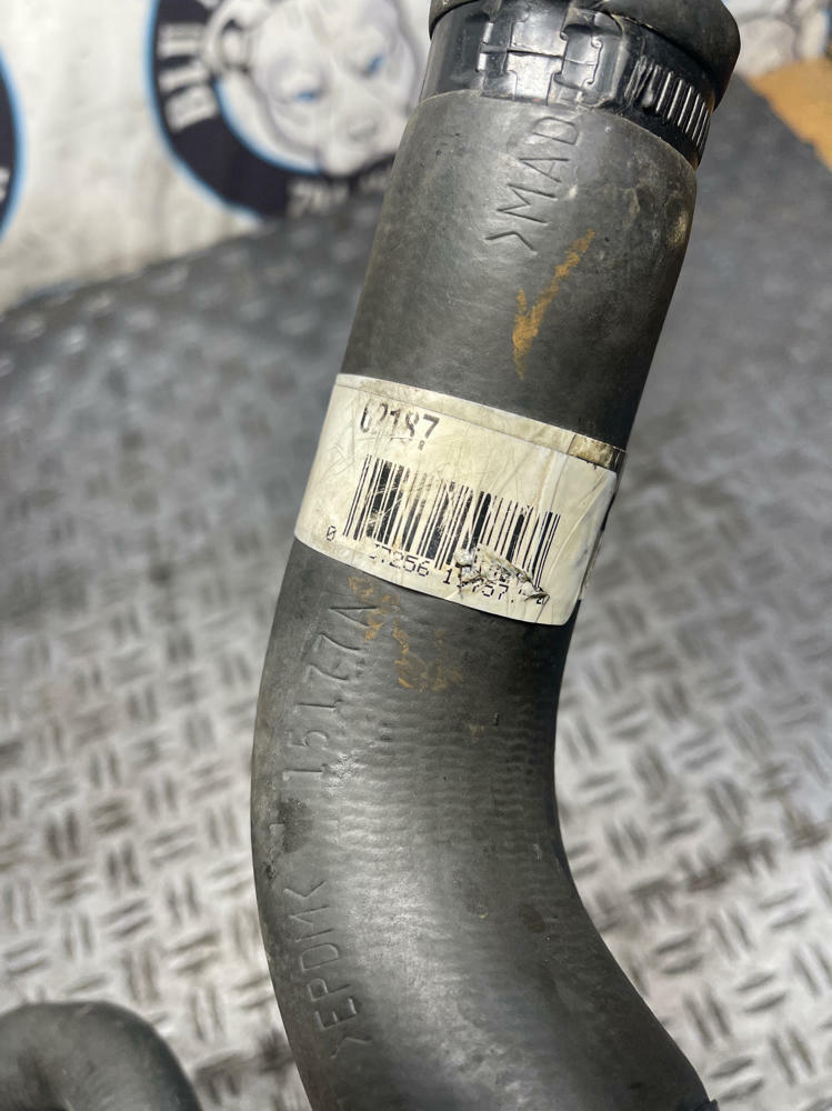 1999-04 Ford Mustang Roush GT Lower Coolant Hose Radiator 293