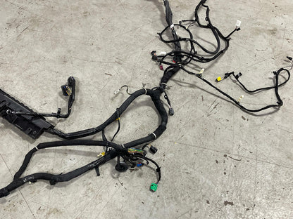 2018-23 Ford Mustang GT Premium Coupe Body Harness- SEE DESC. 301