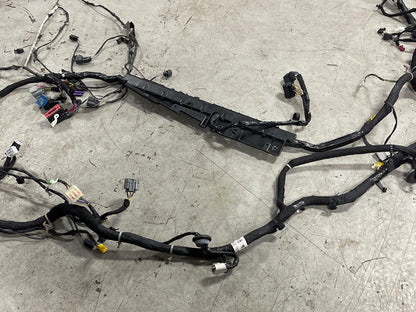 2018-23 Ford Mustang GT Premium Coupe Body Harness- SEE DESC. 301