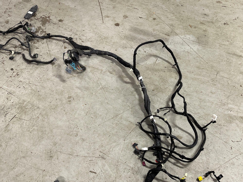 2018-23 Ford Mustang GT Premium Coupe Body Harness- SEE DESC. 301