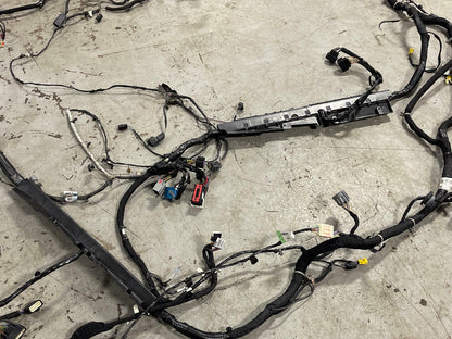 2018-23 Ford Mustang GT Premium Coupe Body Harness- SEE DESC. 301