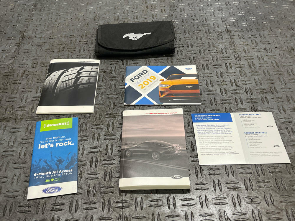 2019  Ford Mustang GT Owners Manual/Press Kit 301