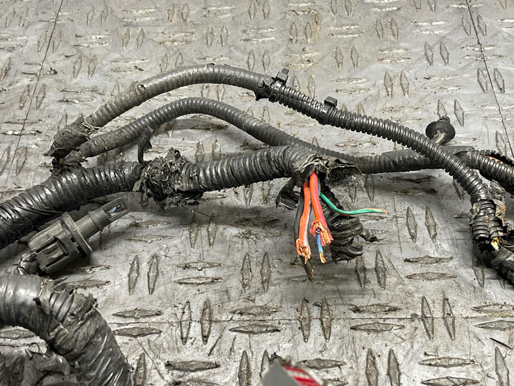 2003-04 Ford Mustang SVT Cobra ECU/PCM Harness- PARTS ONLY 304
