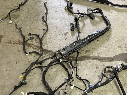 2018-23 Ford Mustang Mach One 10R80 Body Harness 299