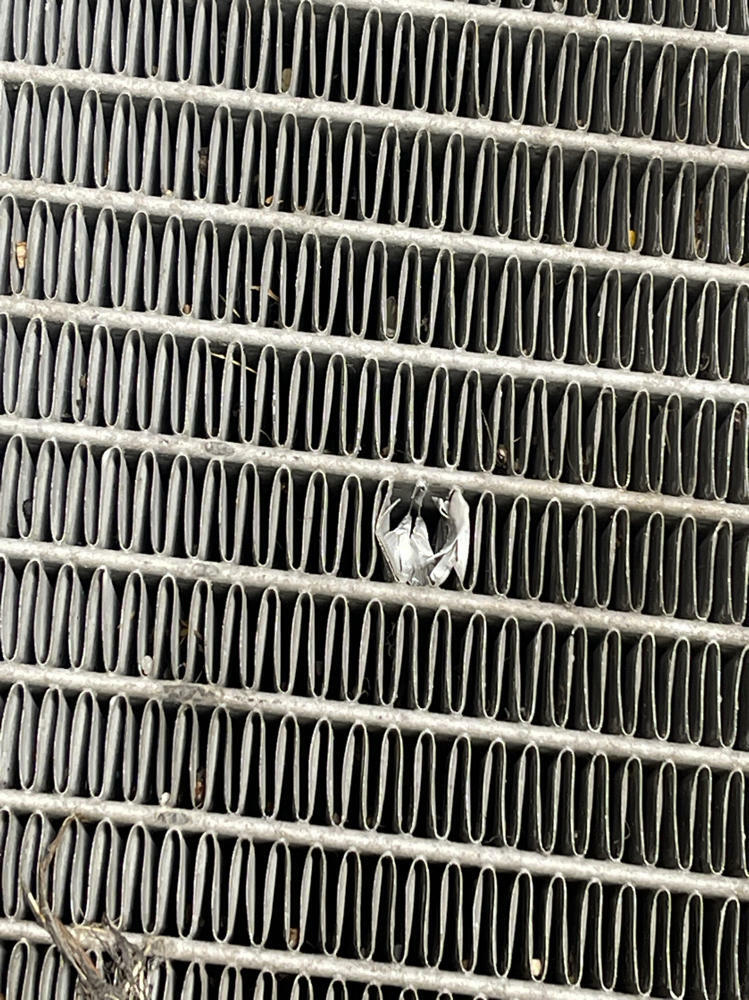 2003-04 Ford Mustang SVT Cobra Radiator & Fan 295