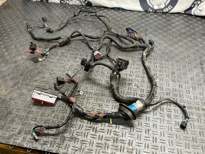 2003-04 Ford Mustang SVT Cobra PCM ECU Harness- PARTS ONLY 318