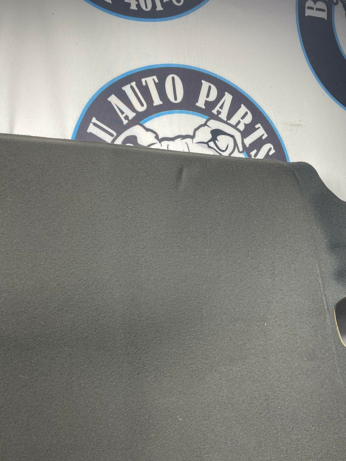 2003-04 Ford Mustang SVT Cobra Headliner 315
