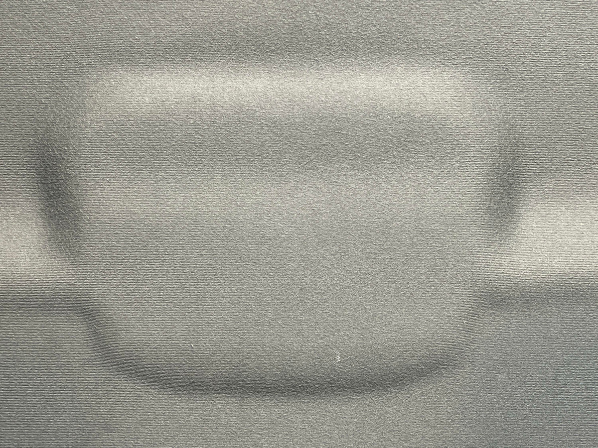 2003-04 Ford Mustang SVT Cobra Headliner 315
