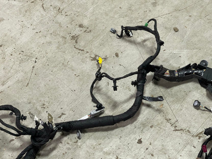 2024+ Ford Mustang Premium Dash Harness PR3T-14440-HF